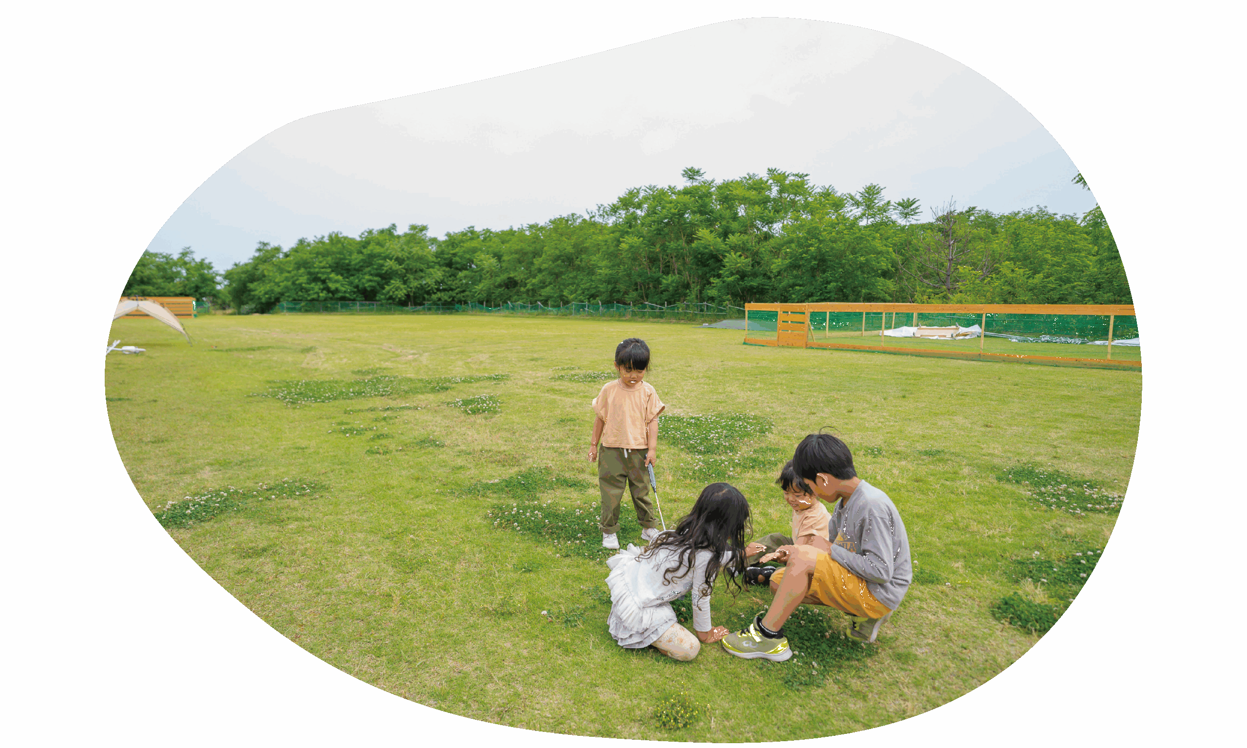 ドッグラン付き京丹後のキャンプ場